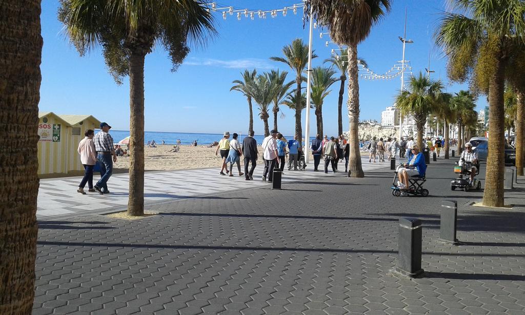 Apartamento Rex Benidorm Exterior photo